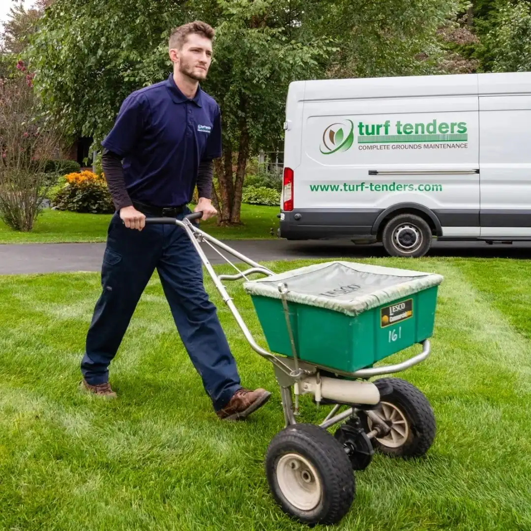 Turf Tenders lawn