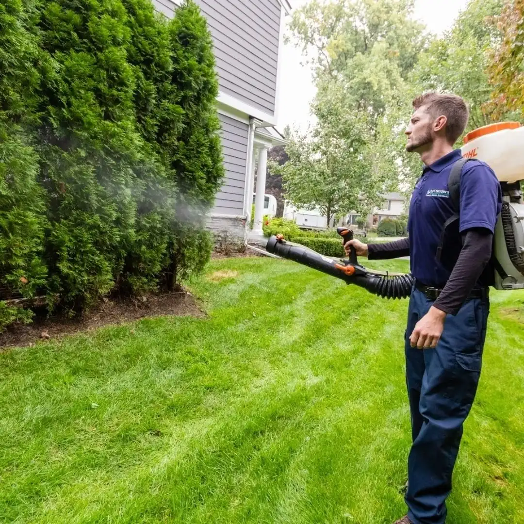 Mosquito Control