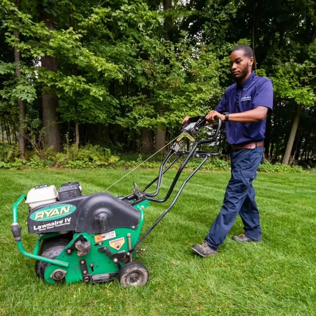 Aeration & Overseeding