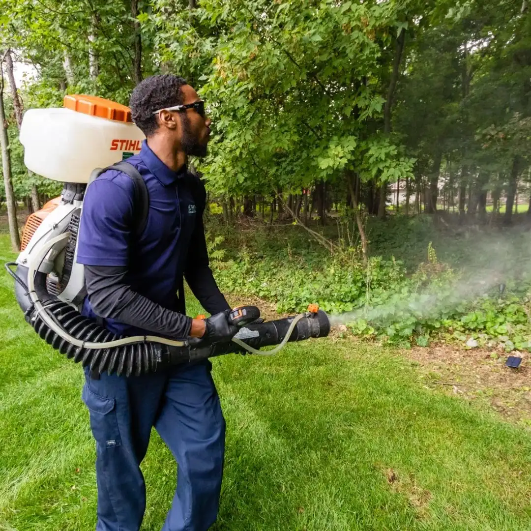 Perimeter Pest Control