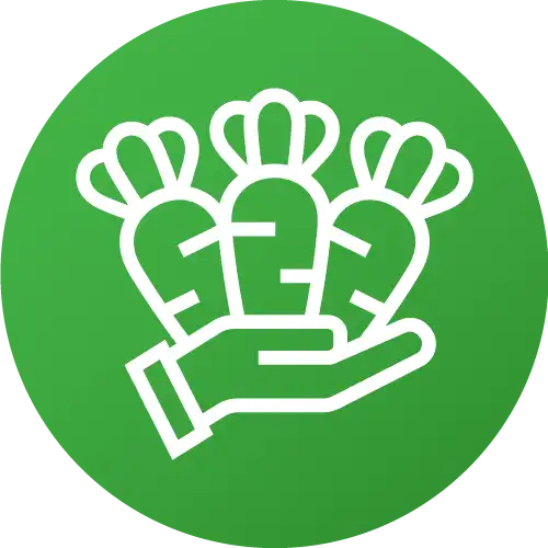 Exterior Pest Control Services